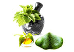 THE INCREDIBLE ORGANIC NETTLE - Food Supplement